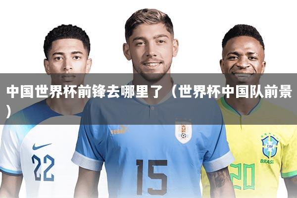 中国世界杯前锋去哪里了（世界杯中国队前景）