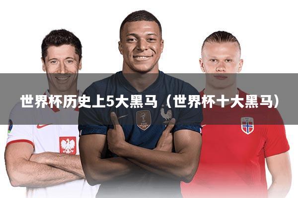 世界杯历史上5大黑马（世界杯十大黑马）